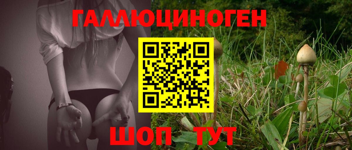 Галлюциногенные грибы Magic Shrooms Кстово